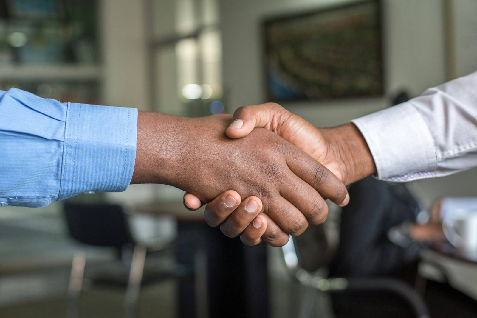 ANWA partners